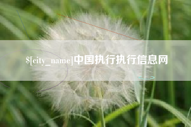燕郊中国执行执行信息网