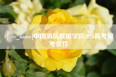 燕郊中国消防救援学院2020高考报考条件
