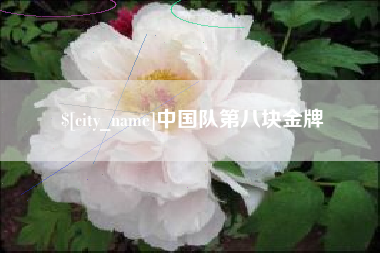 燕郊中国队第八块金牌