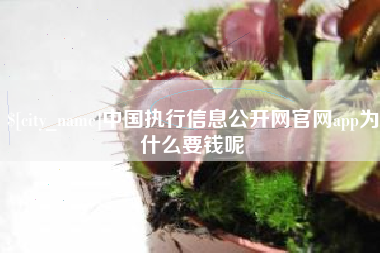 燕郊中国执行信息公开网官网app为什么要钱呢