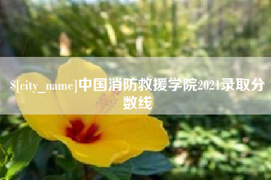 燕郊中国消防救援学院2021录取分数线