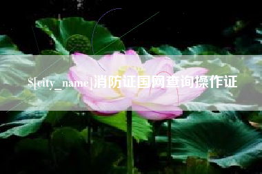 燕郊消防证国网查询操作证
