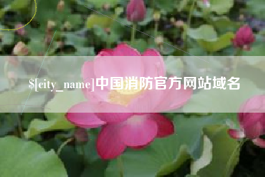 燕郊中国消防官方网站域名