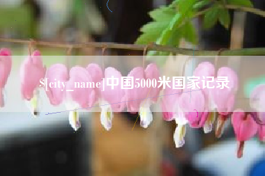 燕郊中国5000米国家记录