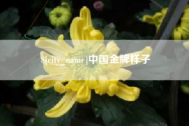 燕郊中国金牌样子