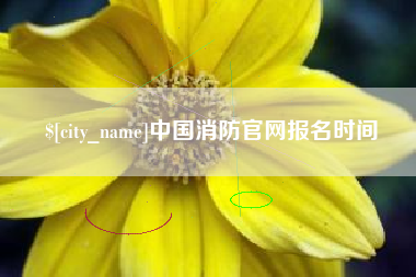 燕郊中国消防官网报名时间