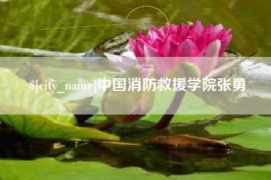 燕郊中国消防救援学院张勇