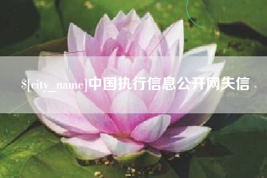 燕郊中国执行信息公开网失信