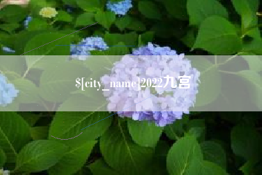 燕郊2022九宫