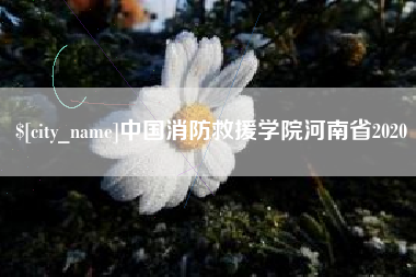 燕郊中国消防救援学院河南省2020